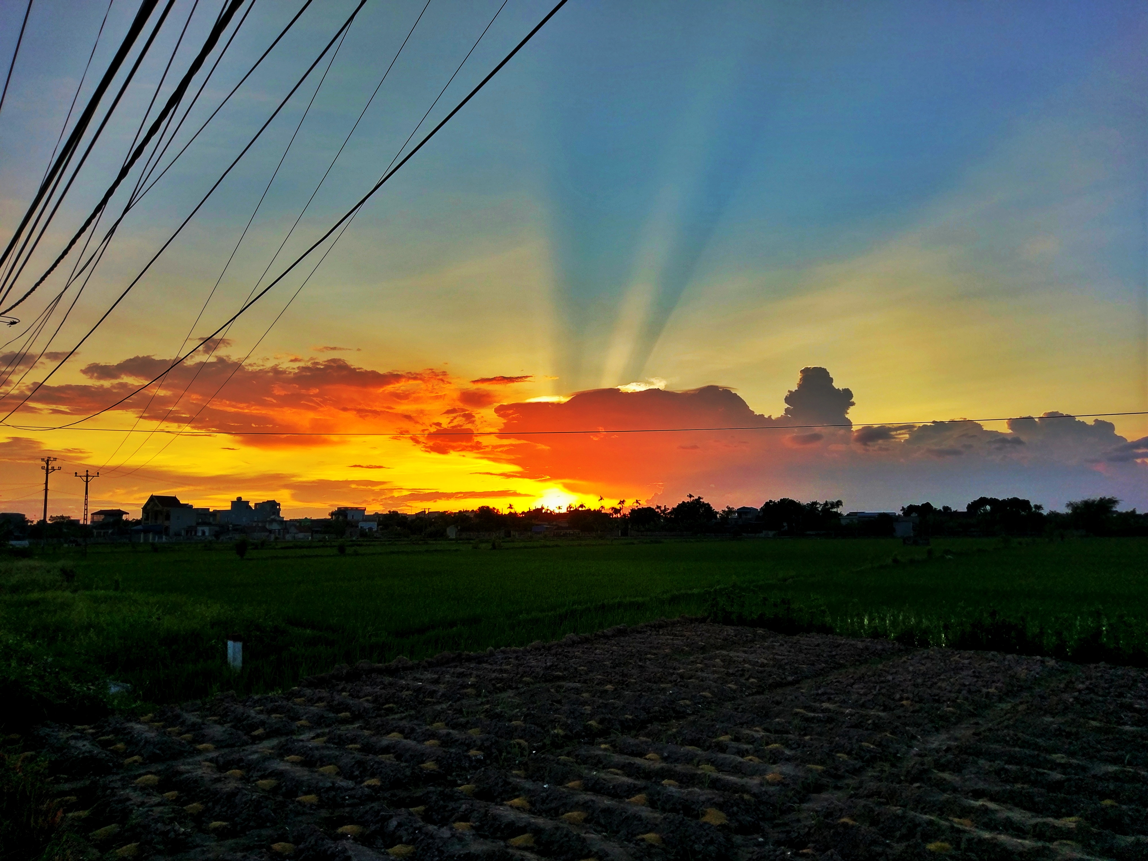 Snapseed Vs Facetune picsyellow